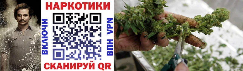 Виды наркоты Стрежевой Гашиш  Alpha-PVP  МЕФ  Каннабис 